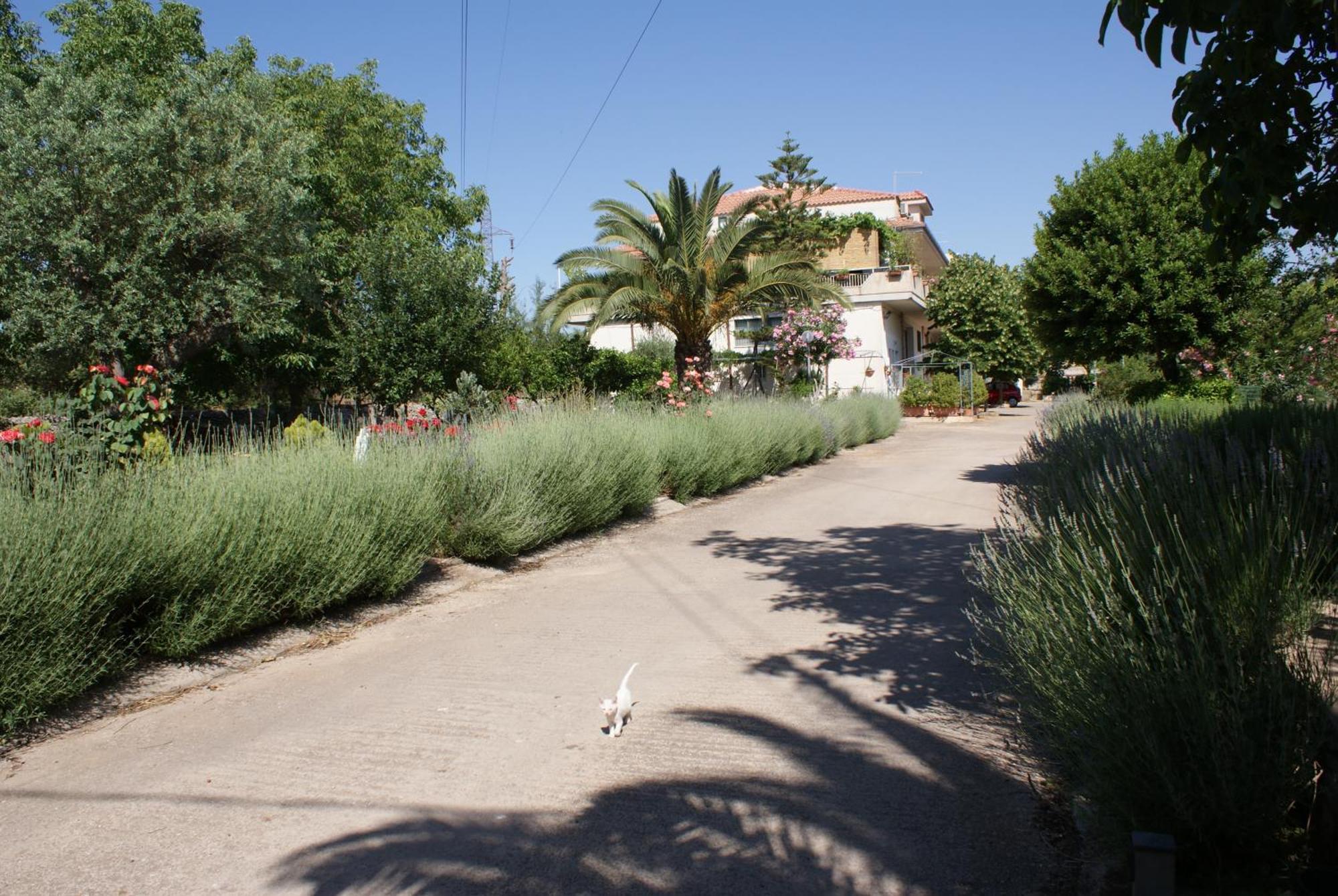 Giogaia Bed and Breakfast Μόντικα Εξωτερικό φωτογραφία