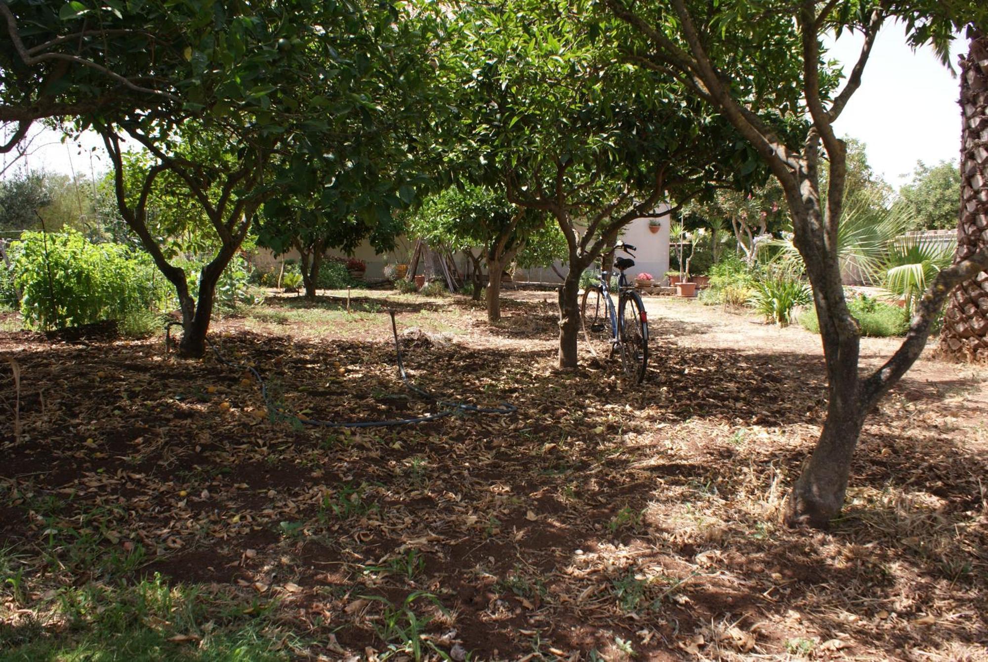 Giogaia Bed and Breakfast Μόντικα Εξωτερικό φωτογραφία