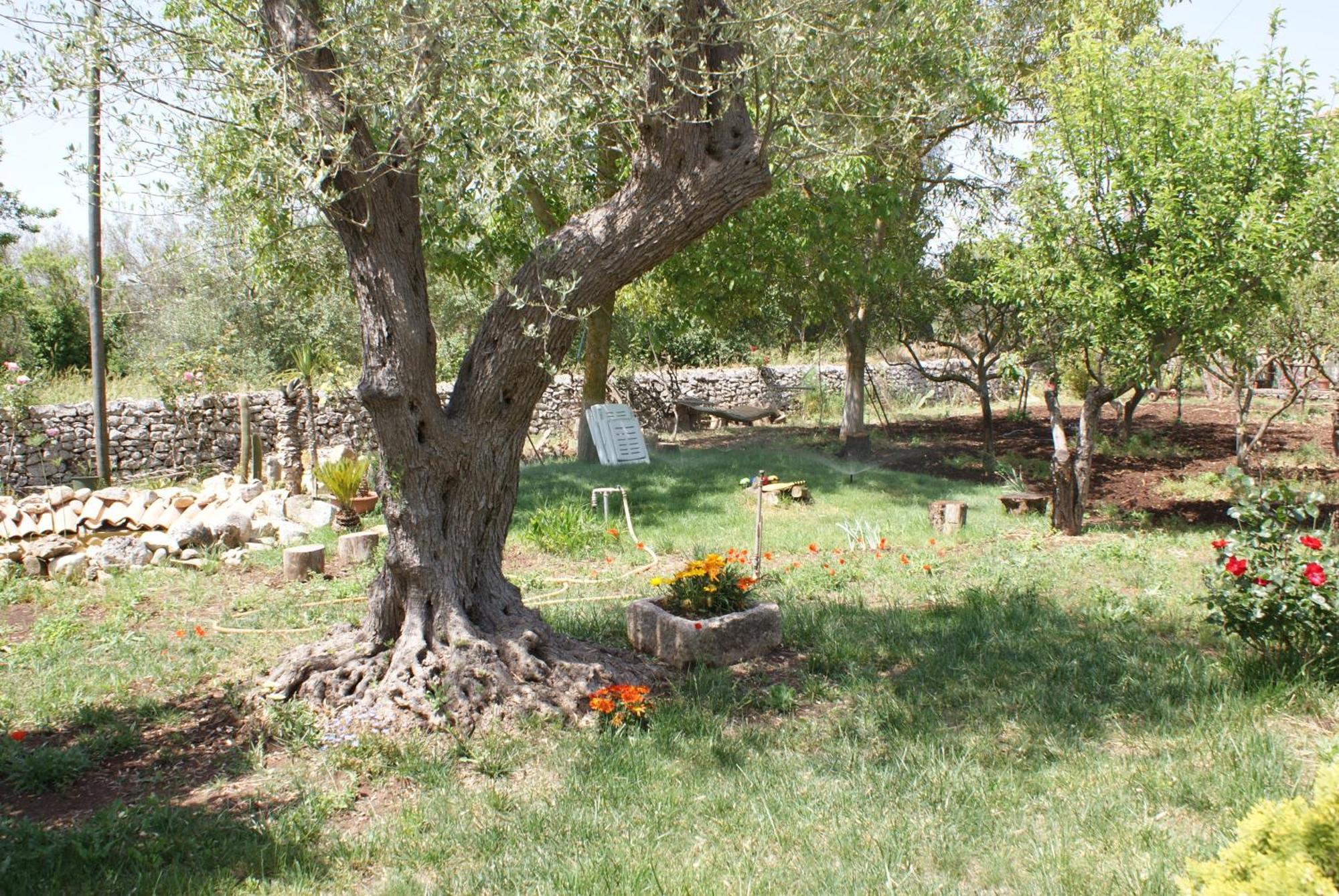 Giogaia Bed and Breakfast Μόντικα Εξωτερικό φωτογραφία